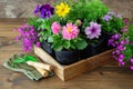 Seedlings of garden plants and flowers in flowerpots. Shovel, rake, gloves.