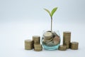 Seedlings in glass bottles and coin ladders, complete with white background and income records The idea of saving money to buy a