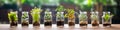 Seedlings in glass bottles on the windowsill Royalty Free Stock Photo