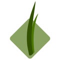 Seedlings of grass for breeding in the abstract vector. Icon for agriculture on the background of green rhombu