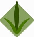 Seedlings of grass for breeding in the abstract vector. Icon for agriculture on the background of green rhombus