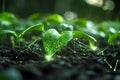 Seedlings growing from dark soil with glowing green network connection Royalty Free Stock Photo