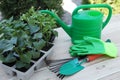Seedlings growing in plastic containers with soil, gardening tools, rubber gloves and watering can on wooden table outdoors