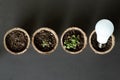 Seedlings growing in small pots with lightbulb
