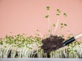 Seedlings growing in soil with a complete mineral