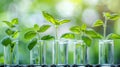 Green Plant Seedlings in Glass Test Tubes Against a Softly Blurred Background