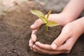 Seedlings in the hands and fertile soil Seedlings germinate from the soil. Natural resources that should be preserved Planting Royalty Free Stock Photo