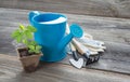 Seedlings in a peat pot and blue watering can Royalty Free Stock Photo