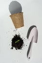 Seedlings in pots in biodegradable peat moss pots. Zero waste, recycling, plastic-free concept. Royalty Free Stock Photo