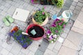 Seedlings, potting soil and flowerpots on a patio Royalty Free Stock Photo