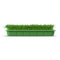 Seedlings Tray