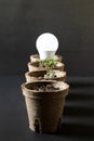 Seedlings in various stages of growth with light bulb