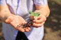 Seedlings in wrinkled hands. Small plant sprouts close up and copy space. The concept of spring planting