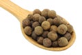 Seeds of allspice in wooden spoon Royalty Free Stock Photo