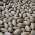 jackfruit seeds, neutral tone full frame background texture