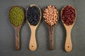 Seeds beansBlack Bean, Red Bean, Peanut and Mung Bean useful for health in wood spoons on grey background Royalty Free Stock Photo