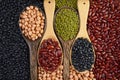 Seeds beansBlack Bean, Red Bean, Peanut and Mung Bean useful for health in wood spoons on grey background Royalty Free Stock Photo