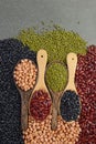 Seeds beansBlack Bean, Red Bean, Peanut and Mung Bean useful for health in wood spoons on grey background Royalty Free Stock Photo