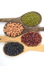 Seeds beansBlack Bean, Red Bean, Peanut and Mung Bean useful for health in wood spoons on white background Royalty Free Stock Photo