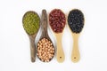 Seeds beansBlack Bean, Red Bean, Peanut and Mung Bean useful for health in wood spoons on white background Royalty Free Stock Photo