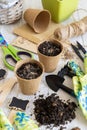 Seeds in biodegradable pots near garden tools. Indoor gardening, germinating herb seeds Royalty Free Stock Photo