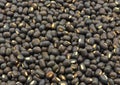 Seeds of black gram