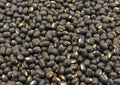 Seeds of black gram Royalty Free Stock Photo