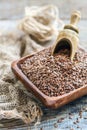 Seeds brown flax and wooden scoop.