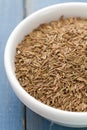 Seeds of carum in white bowl Royalty Free Stock Photo