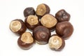 Seeds chestnut Royalty Free Stock Photo