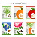 Seeds collection of flowers and vegetables