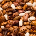 Seeds of different beans