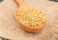 Seeds fenugreek in spoon