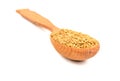 Seeds fenugreek in spoon