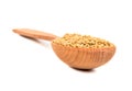 Seeds fenugreek in spoon