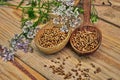 Seeds and flowers of a coriander in a spoon Royalty Free Stock Photo