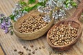 Seeds and flowers of a coriander in a spoon Royalty Free Stock Photo