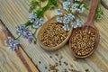 Seeds and flowers of a coriander in a spoon Royalty Free Stock Photo