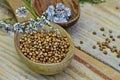 Seeds and flowers of a coriander in a spoon Royalty Free Stock Photo