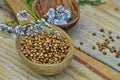 Seeds and flowers of a coriander in a spoon Royalty Free Stock Photo