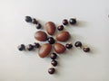 Fruit seeds