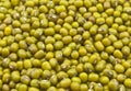 Seeds of green gram