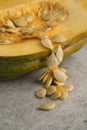 Seeds of a halved fresh acorn squash close up