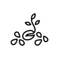 Black line icon for Seeds, burgeoning and growing Royalty Free Stock Photo