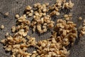 Seeds of jenipapo drying in the sieve