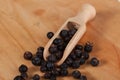 Seeds of juniper with a small wooden spoon. Royalty Free Stock Photo