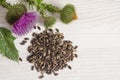 Seeds of a milk thistle with flowers