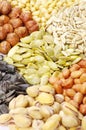 Seeds and nuts collection Royalty Free Stock Photo