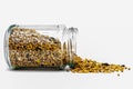 Bird seed food in a glass jamjar