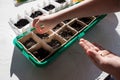 Seeds of plants and flowers in a plastic box container for seedlings with child& x27;s hand. Seeds prepared for planting in Royalty Free Stock Photo